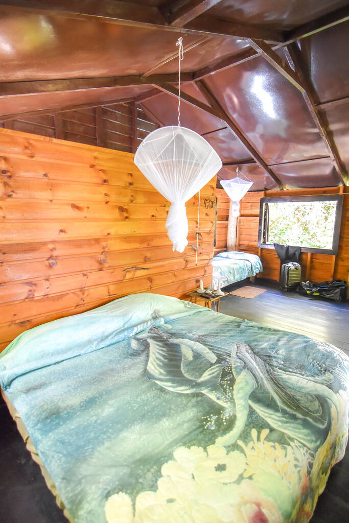 7 Best Family Accommodation in Ha'apai