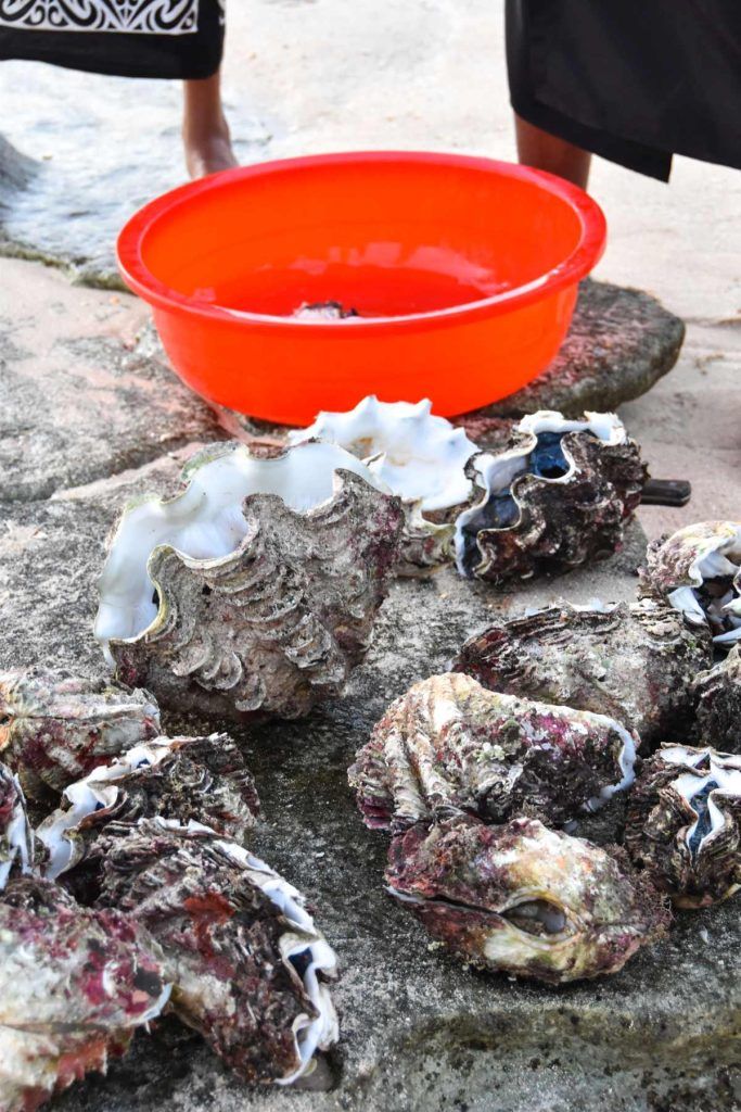 The Foodie Guide to Ha'apai