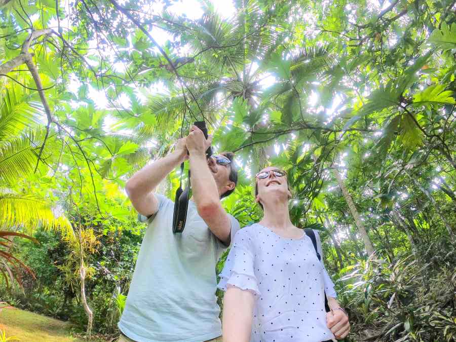 Tonga Weather in August