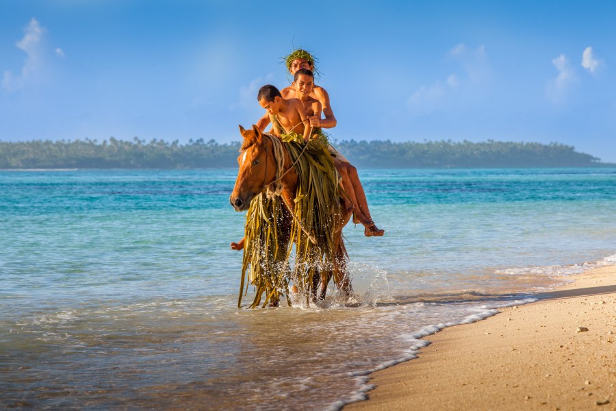 10 Top Transport Tips for Tonga