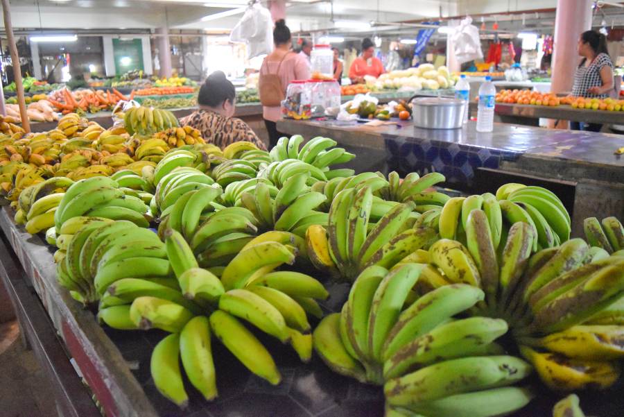 What is the Cost of Food in Tonga?