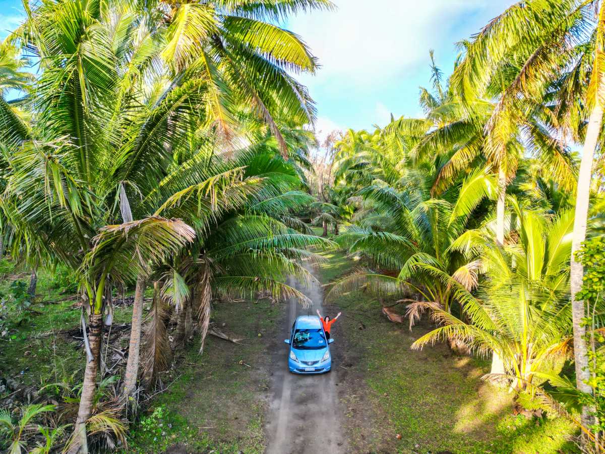 How Much Does it Cost to Rent a Car in Tonga?