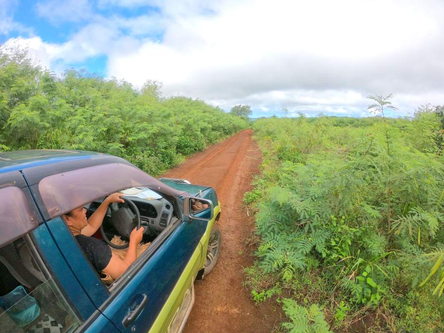 10 Tips for Hiring a Car in Tonga