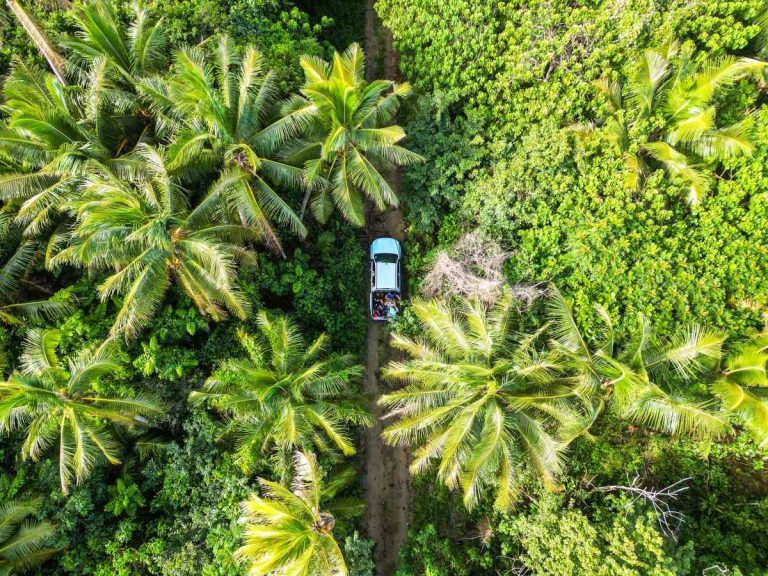 5 Best Off-Road Tours in Tonga
