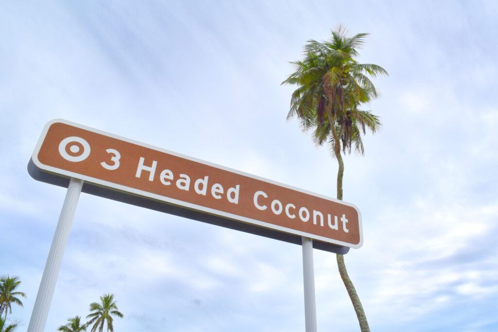 101 Best Things to Do in Tonga: The Ultimate List