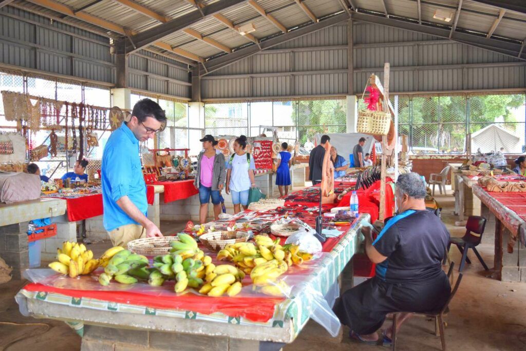 101 Best Things to Do in Tonga: The Ultimate List
