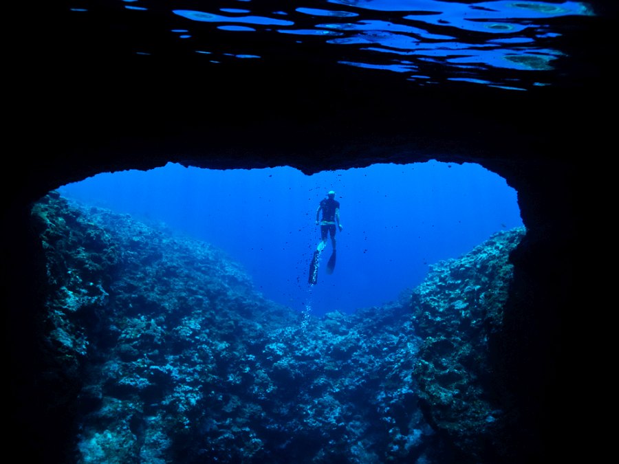 10 Best Dive Sites in Vava'u
