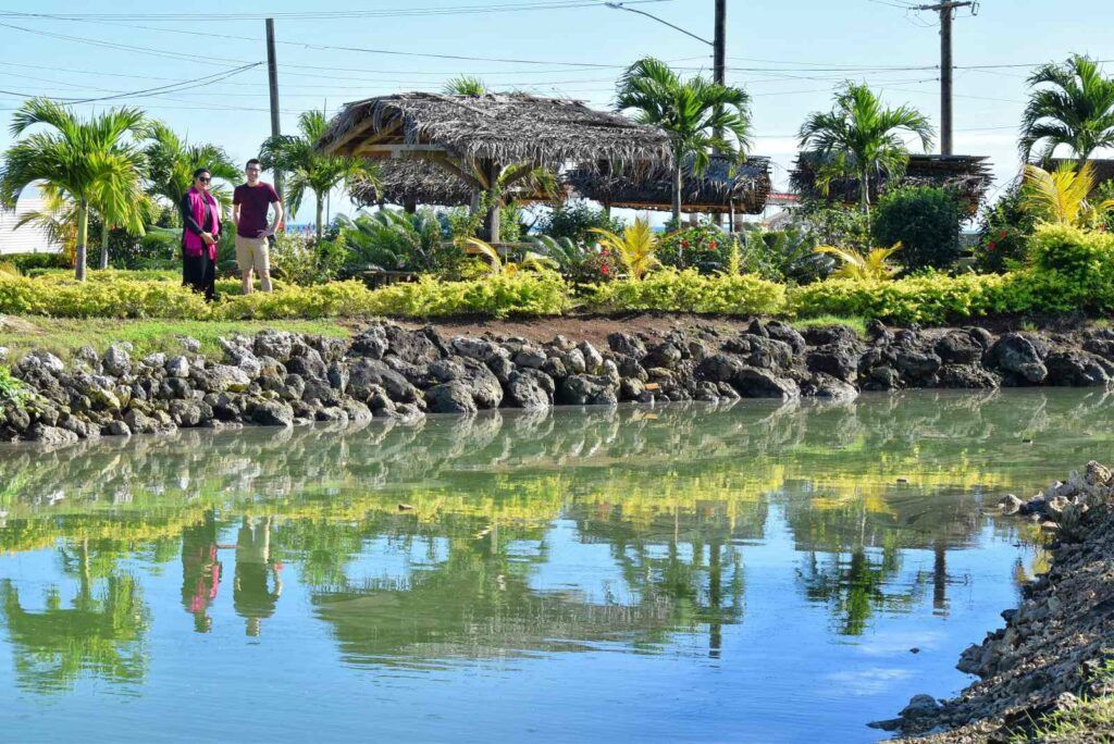 101 Best Things to Do in Tonga: The Ultimate List