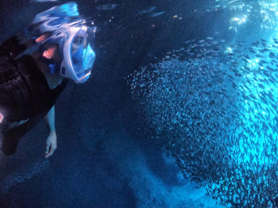 10 Places to Snorkel in Vava'u