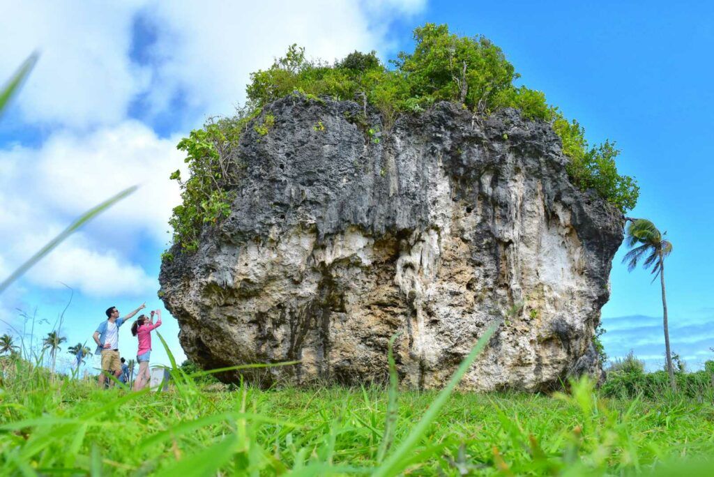 101 Best Things to Do in Tonga: The Ultimate List
