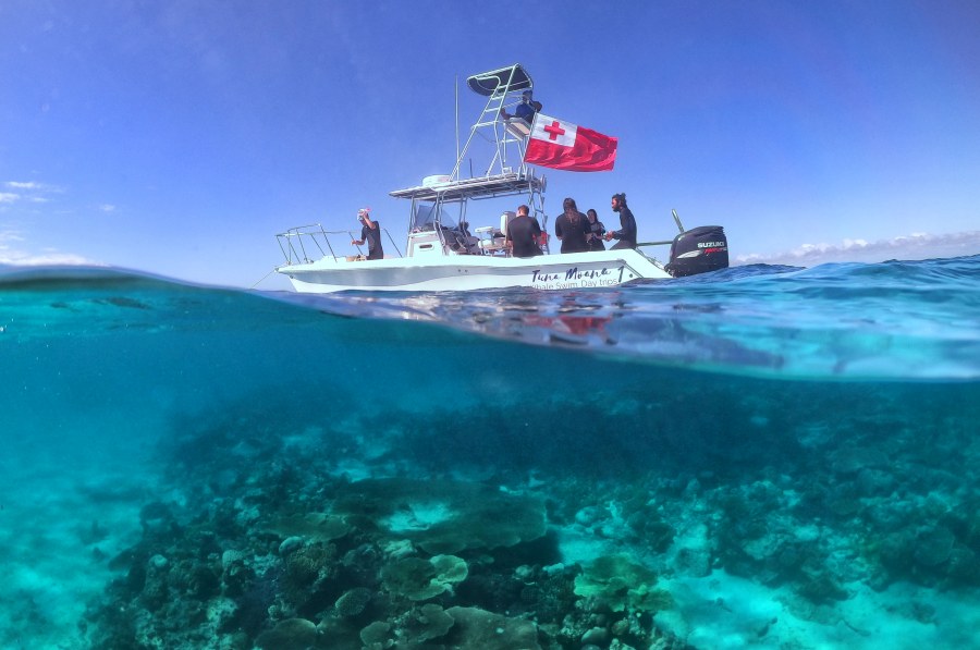 10 Best Day Cruises in Tonga