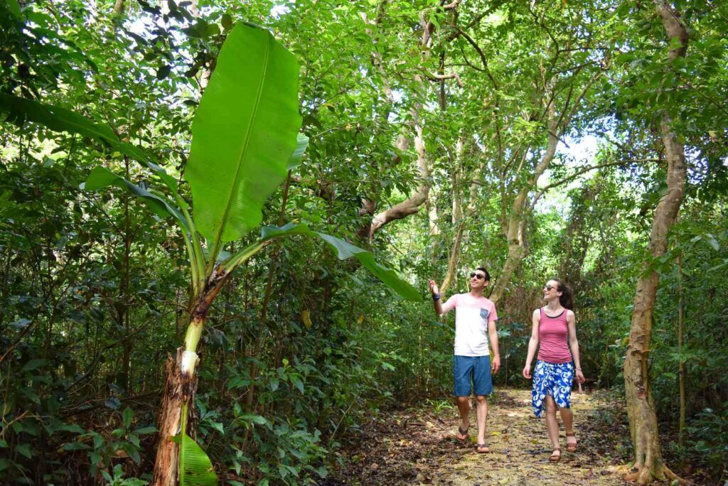 101 Best Things to Do in Tonga: The Ultimate List