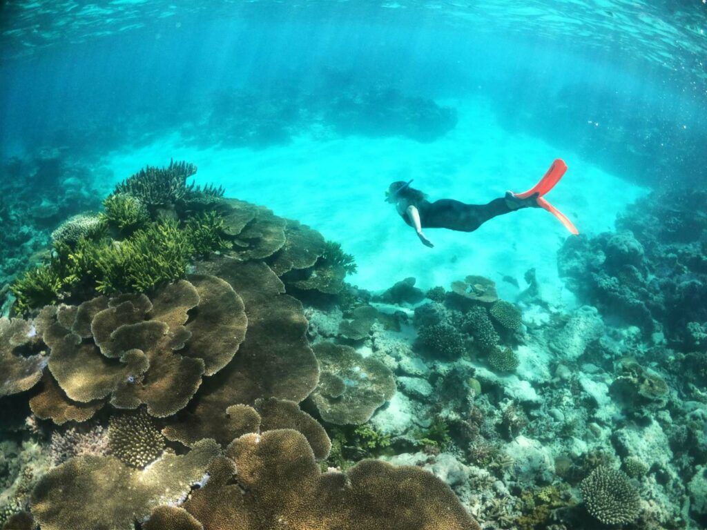 101 Best Things to Do in Tonga: The Ultimate List