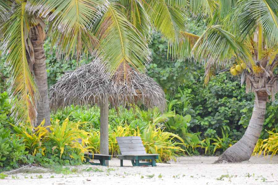 10 Best Luxury Accommodation in Tonga
