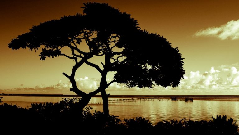 10 Best Eco Resorts in Tonga