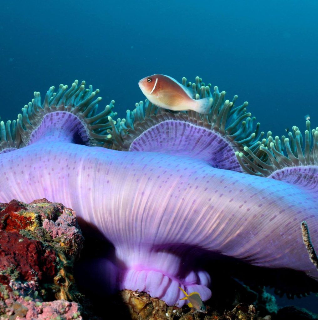 10 Best Things to Do in Nuku'alofa