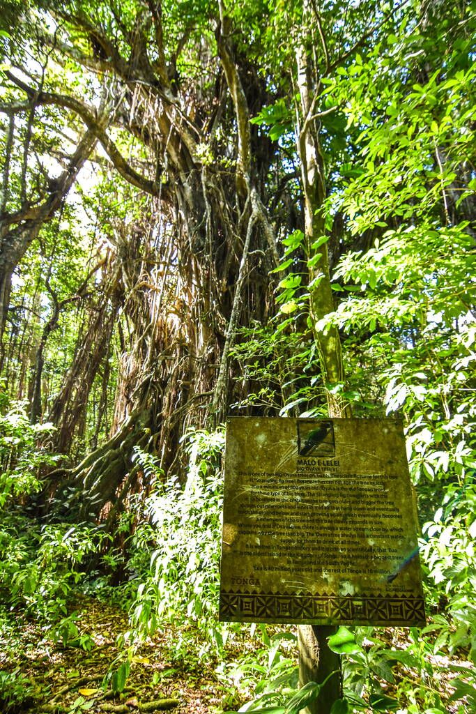 5 Best Hikes in 'Eua