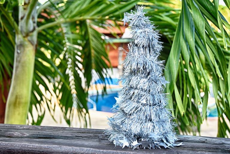 10 Reasons to Travel to Tonga this Christmas