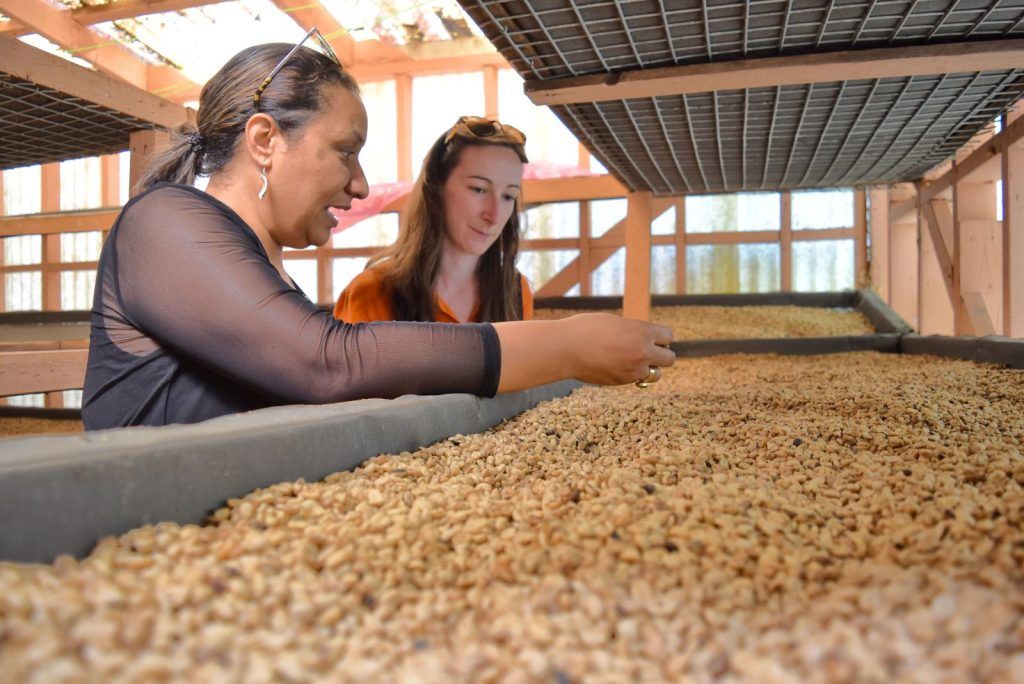 10 Best Things to Do in Nuku'alofa