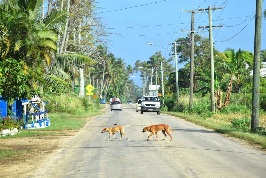 10 Tips for Cycling in Tonga