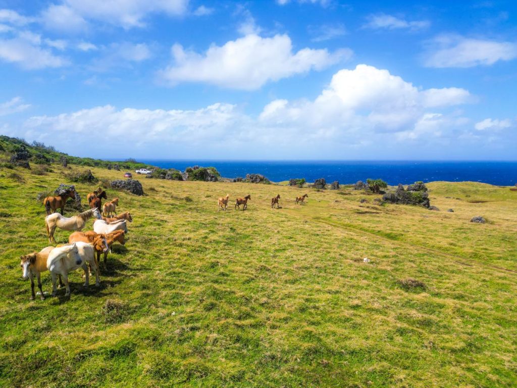 10 Best Walks &amp; Hikes in Tonga