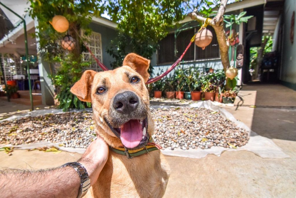 10 Best Guesthouses in Nuku'alofa