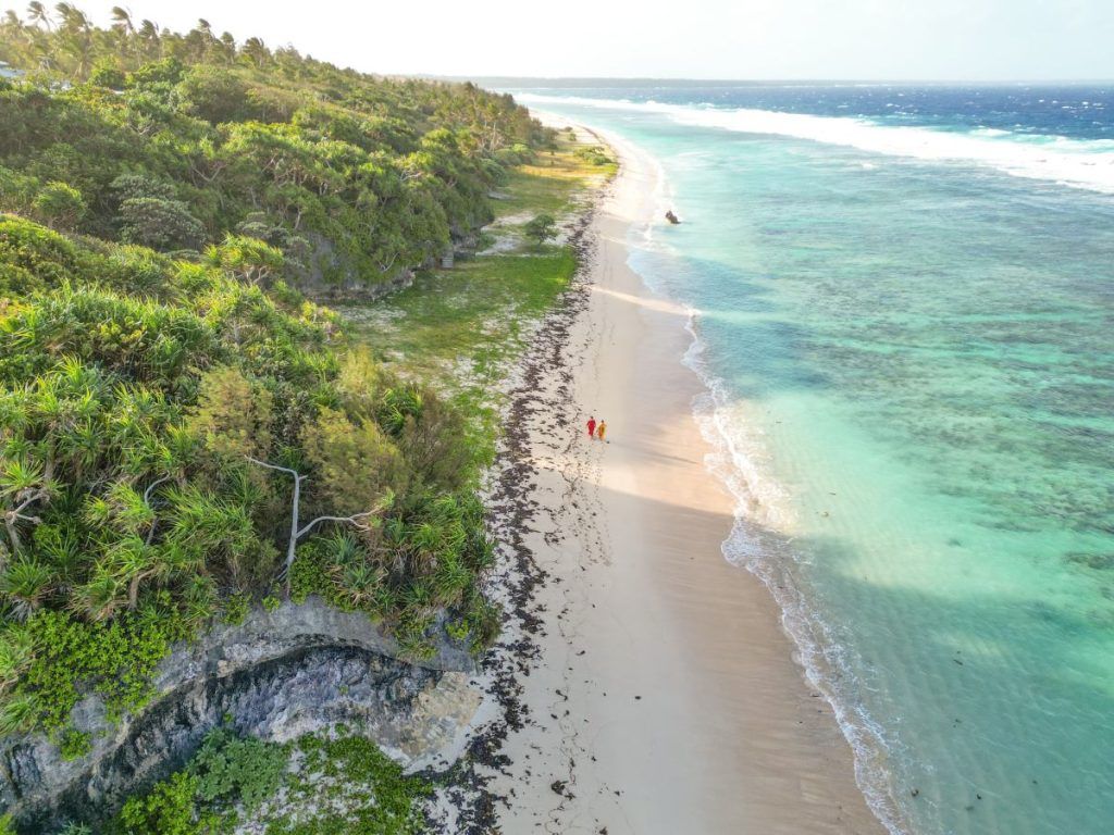 Where to See Whales in Tonga