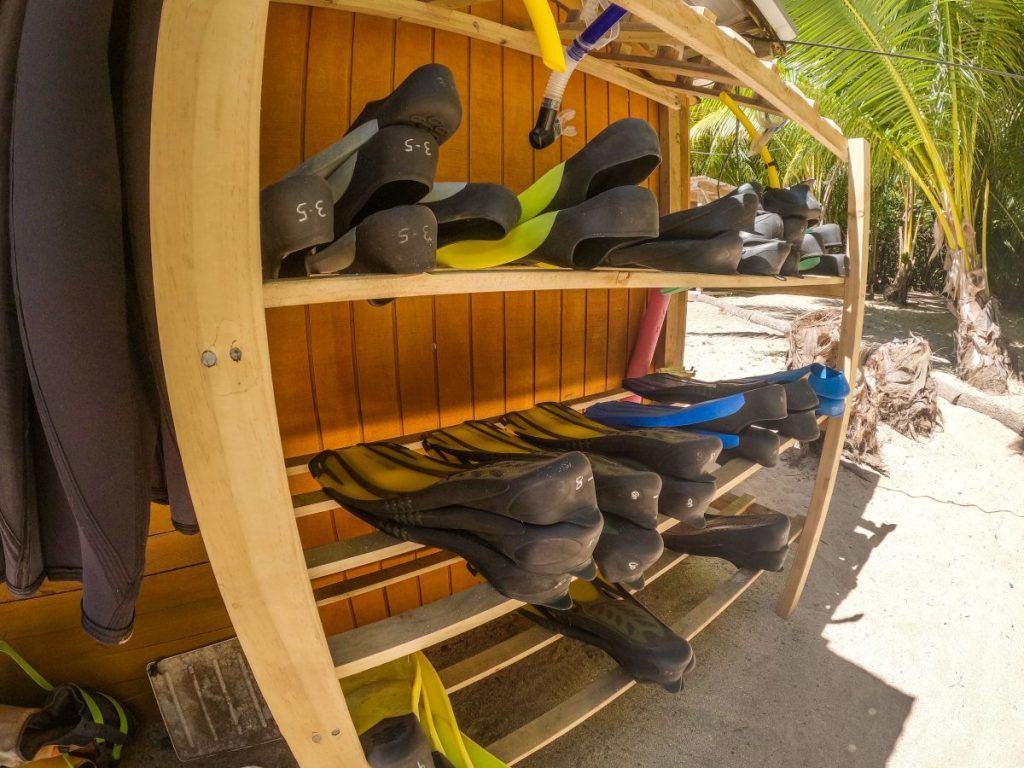10 Best Snorkelling Tours in Tonga