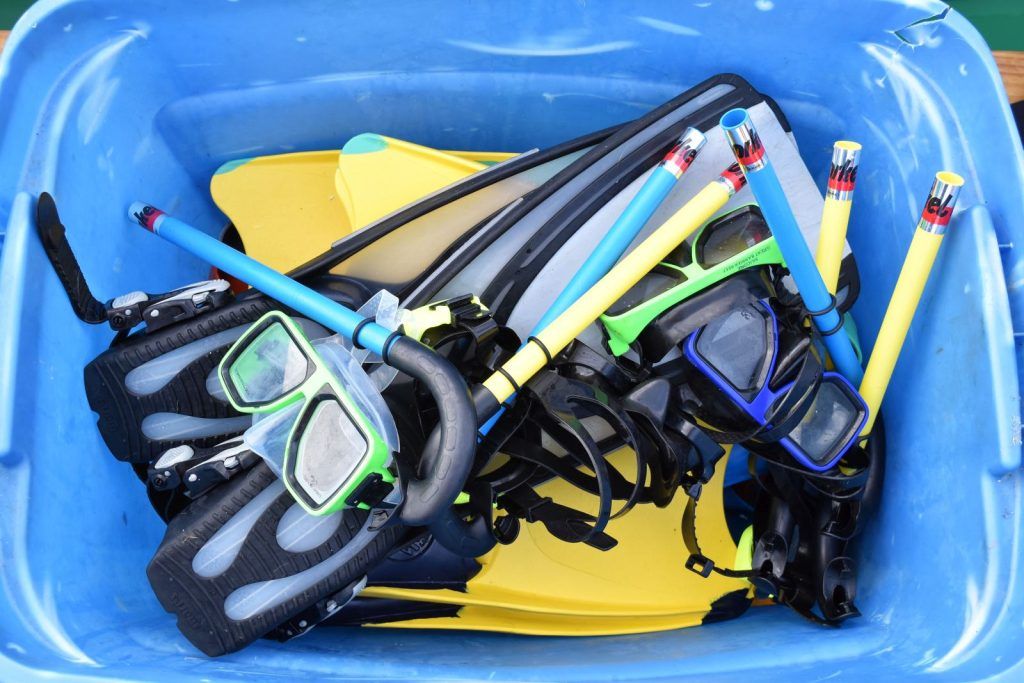 The Guide to Snorkelling in Tonga ????