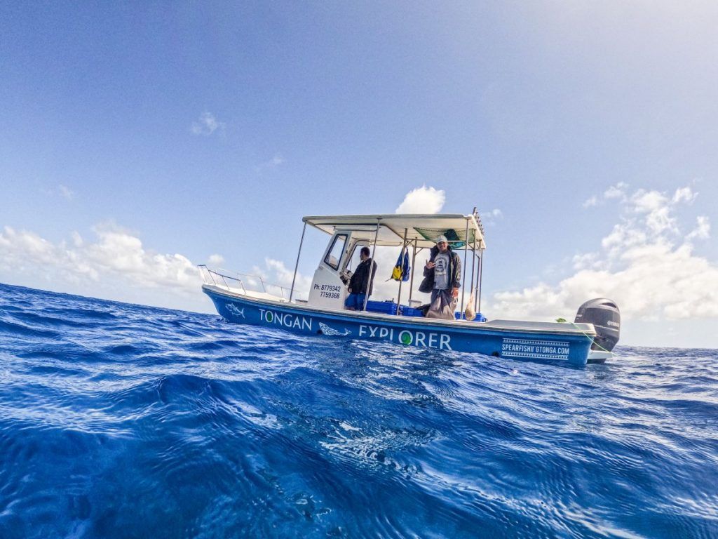 10 Best Boat Trips in Tonga
