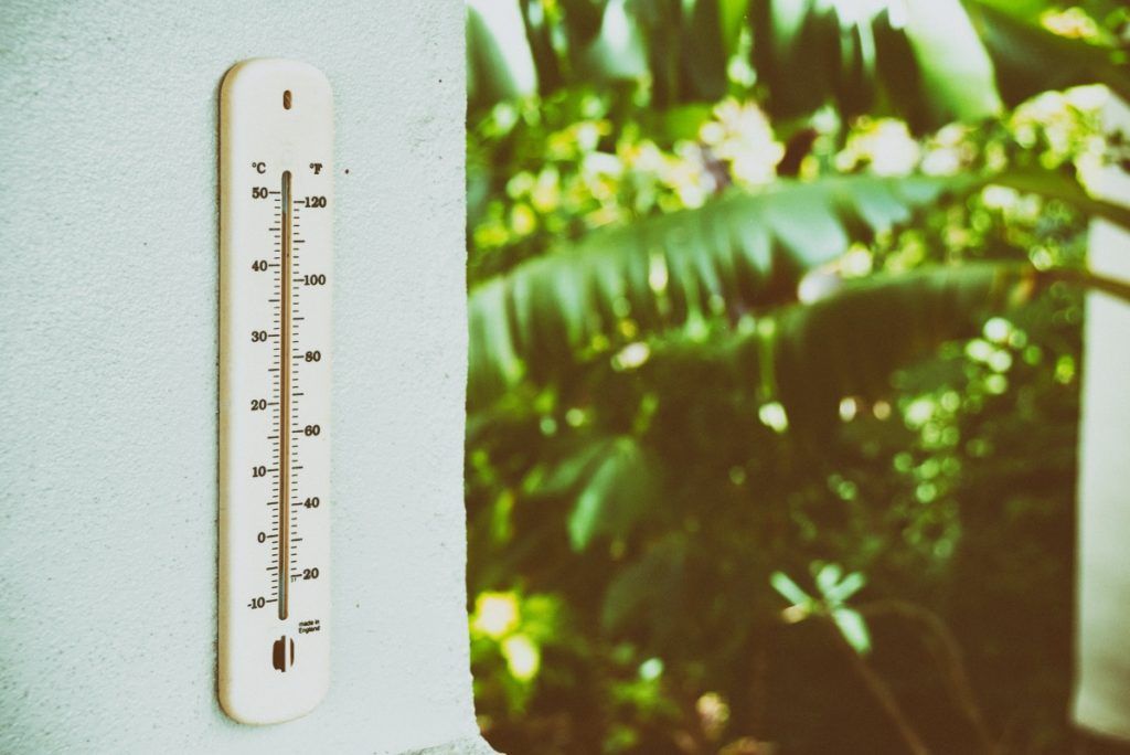 Tonga Weather in January