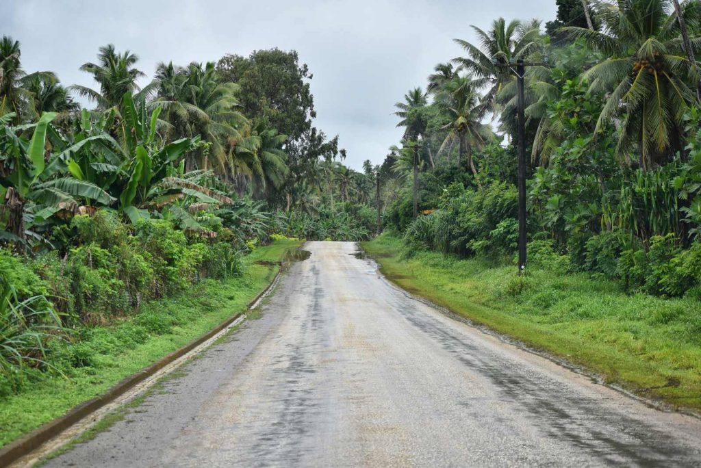 Tonga Weather in August