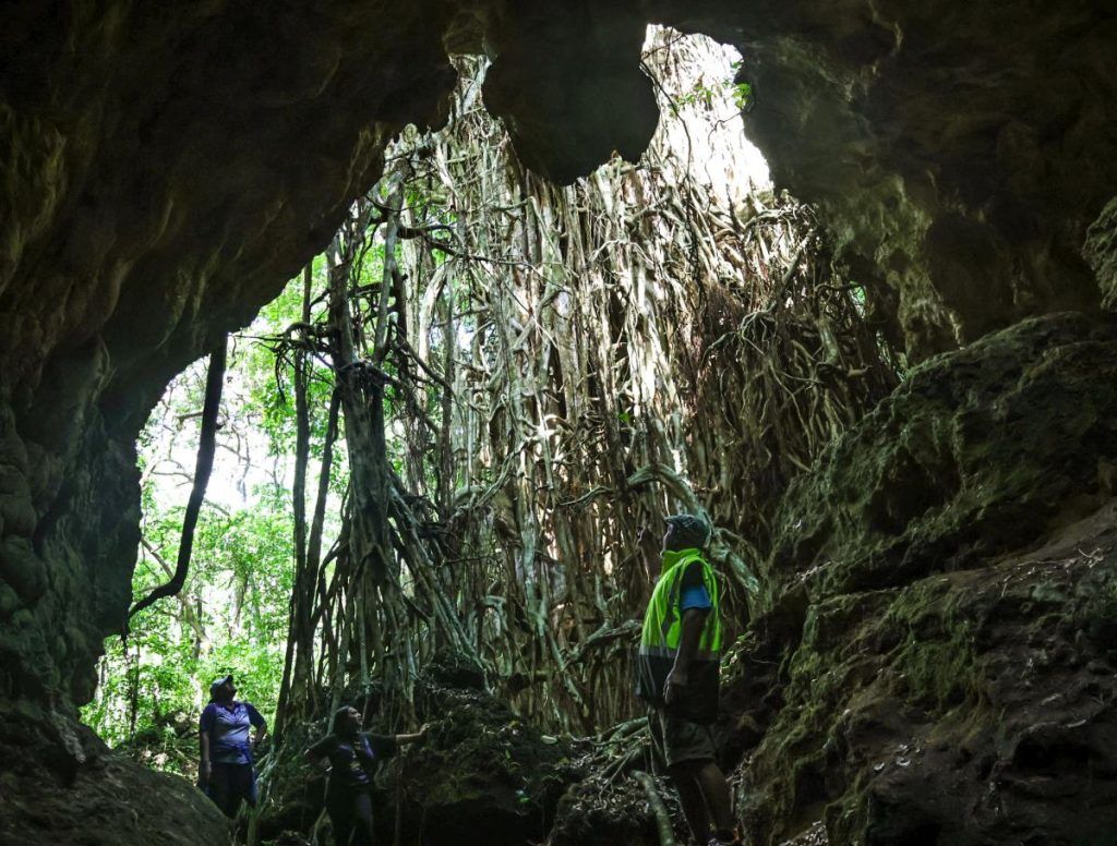 101 Best Things to Do in Tonga: The Ultimate List ???? [2023]