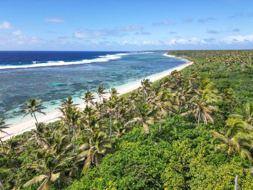 The Best Tonga Itineraries for 5 Days [2024]