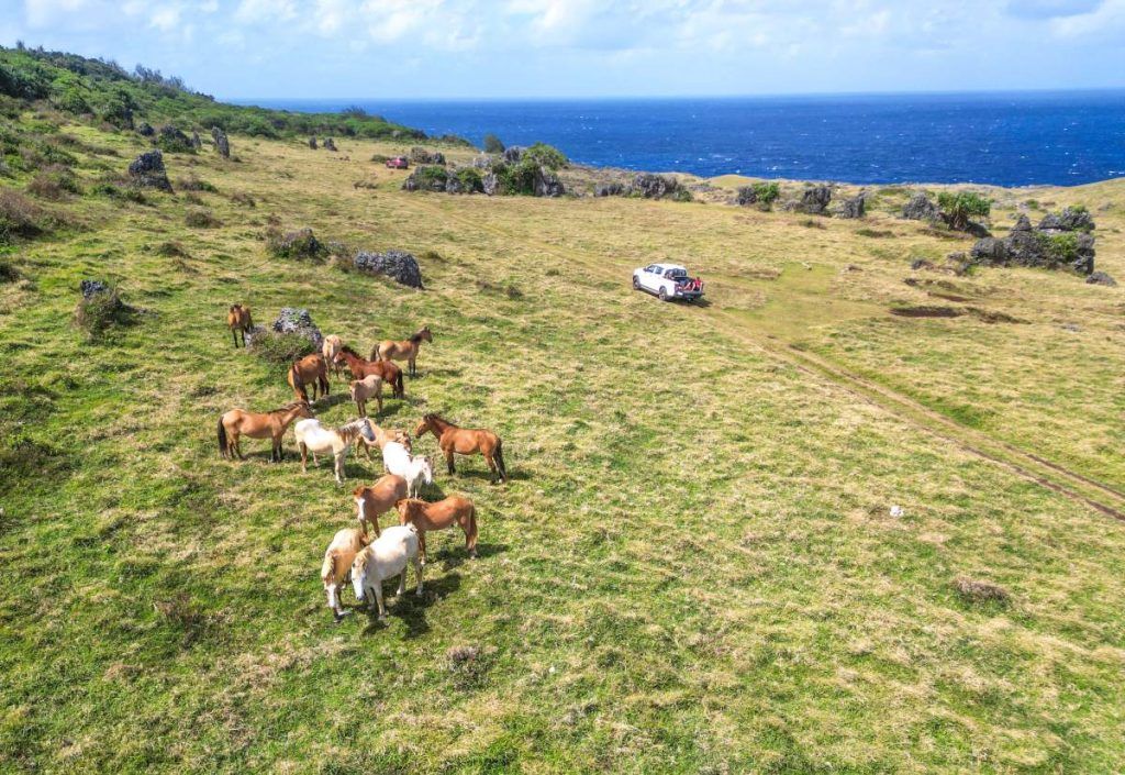 101 Best Things to Do in Tonga: The Ultimate List ???? [2023]