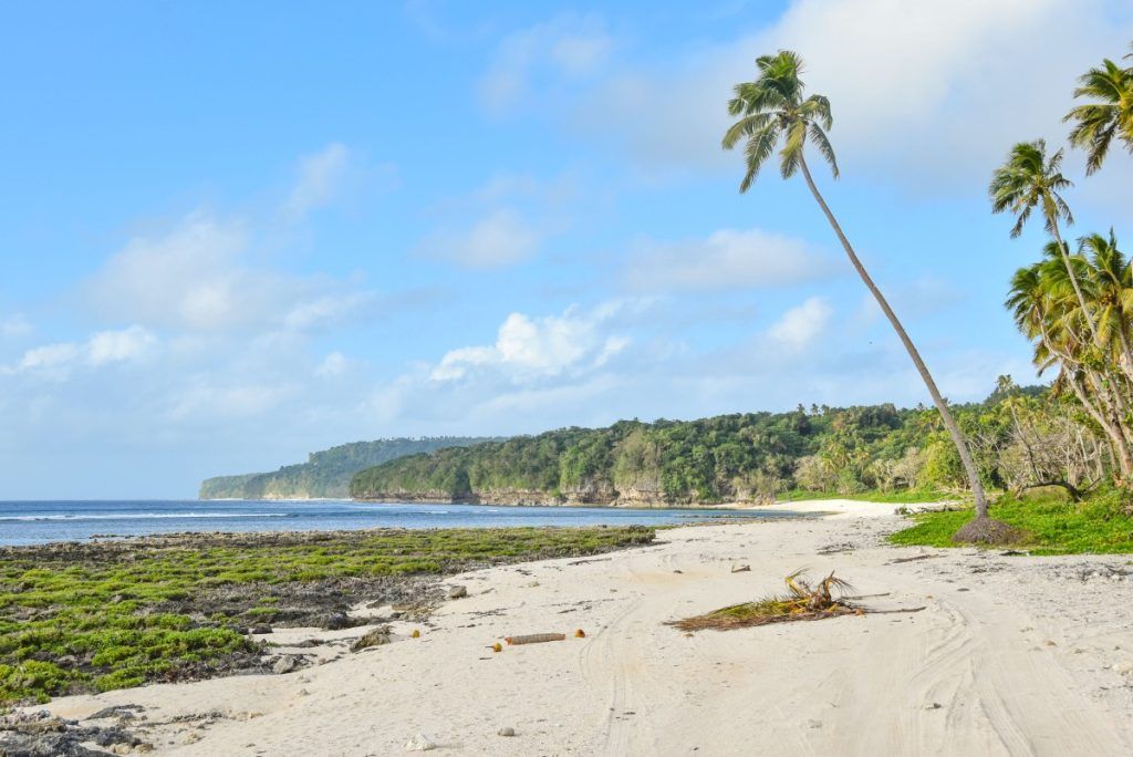 29 Ways to Travel More Sustainably in Tonga