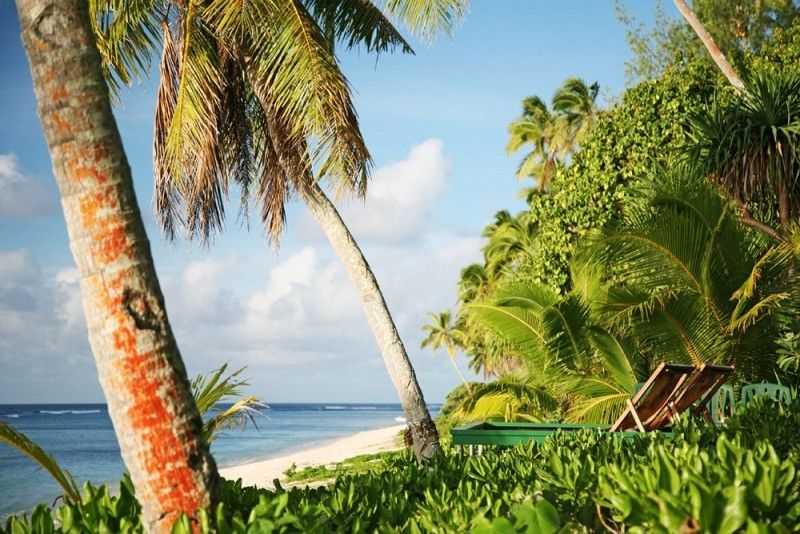 101 Best Things to Do in Tonga: The Ultimate List ???? [2023]