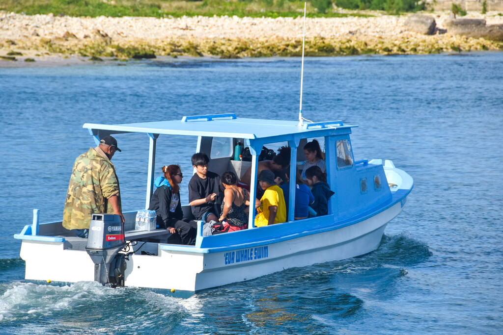 The Best Whale Tours in 'Eua ???? [2023]