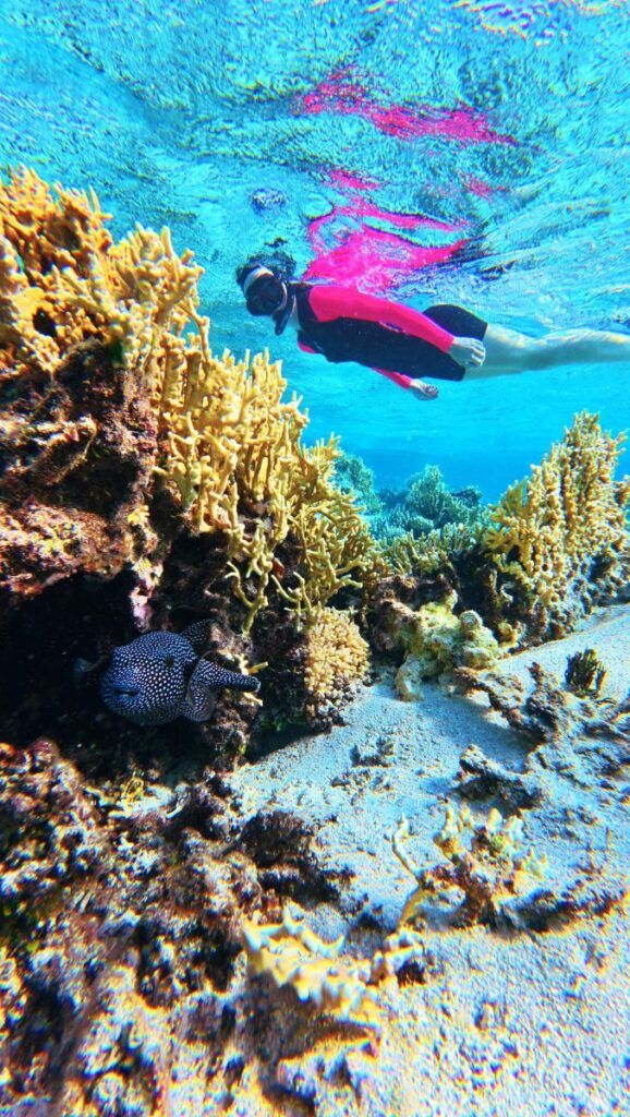 Tonga Adults-Only Itinerary: 14 Days / 2 Weeks