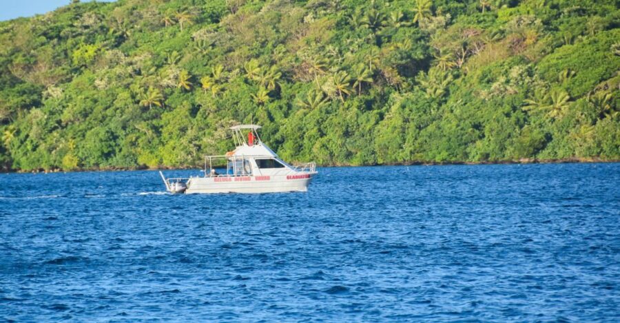 The Best Dive Shops & Operators in Vava'u