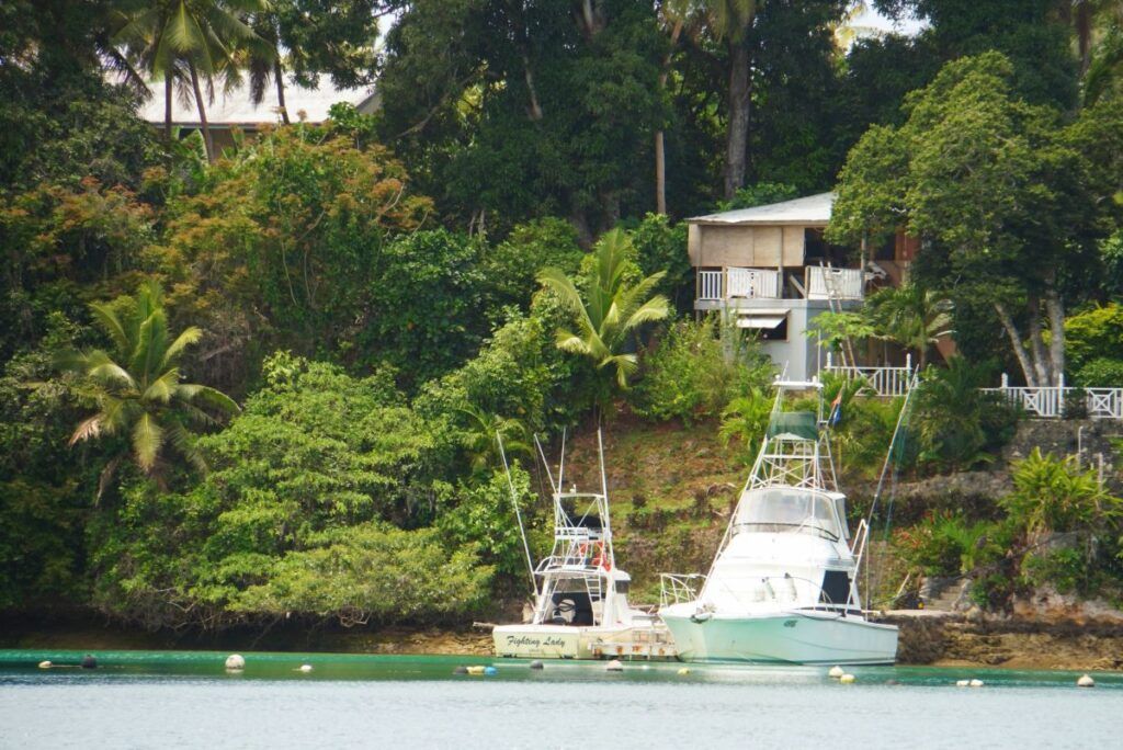 The Best Fishing Charters in Vava'u