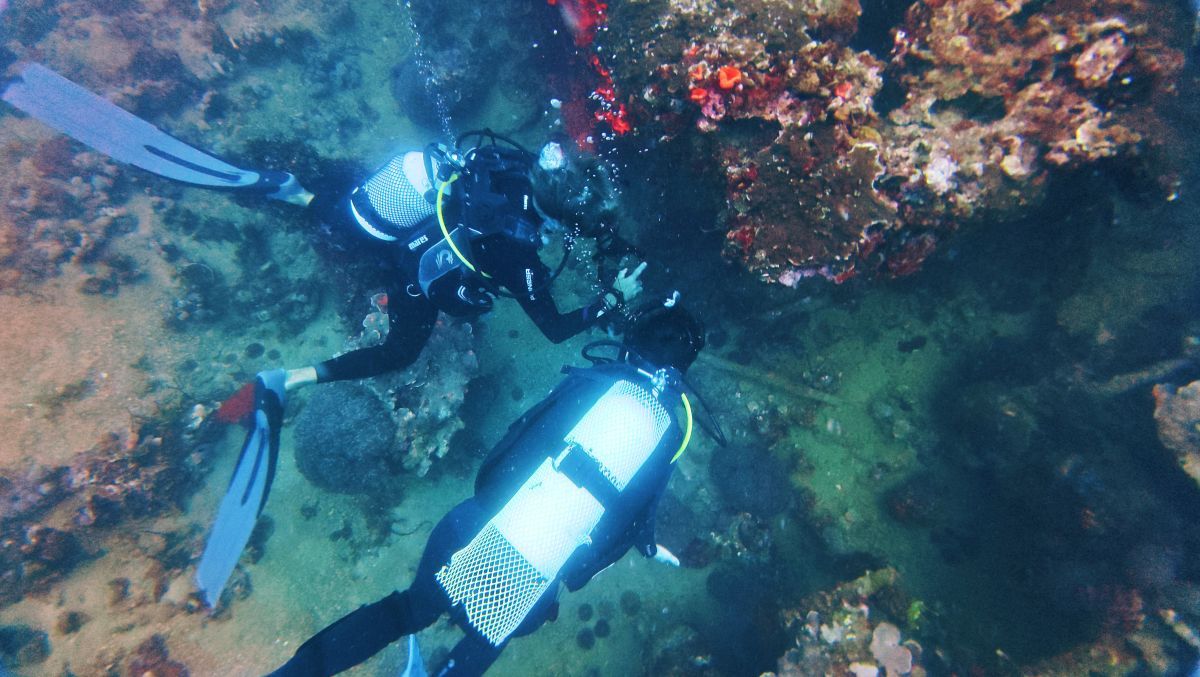 The Best Scuba Diving in Vava'u: Top 15 Places to Scuba Dive