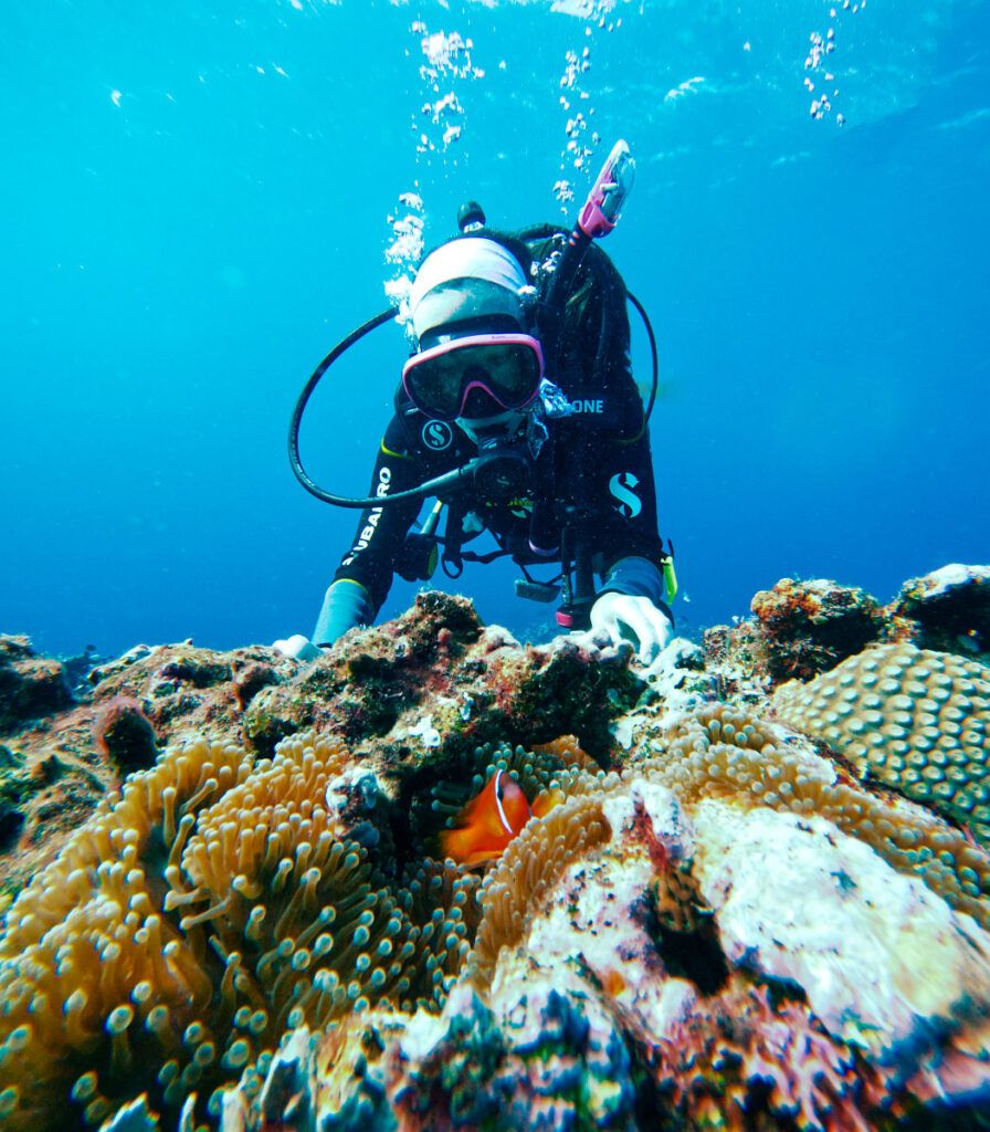 The Best Scuba Diving in Ha'apai: 5 Best Dive Sites