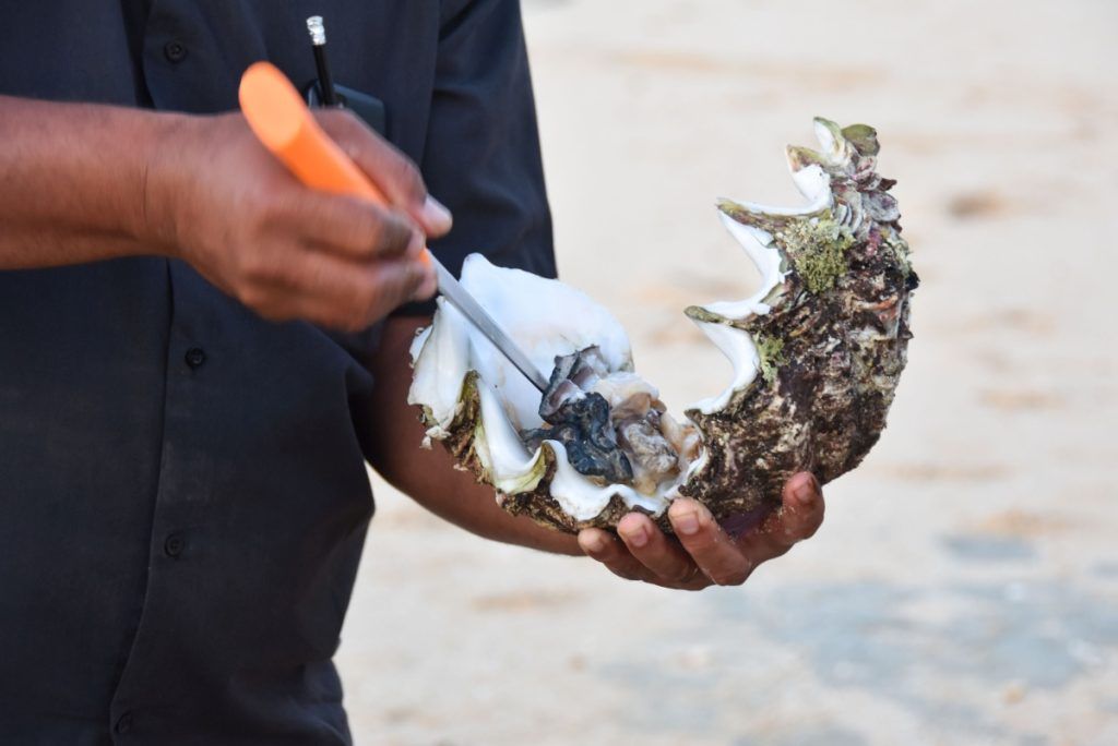 50 BEST Things to Do in Ha'apai ????️ [2023]