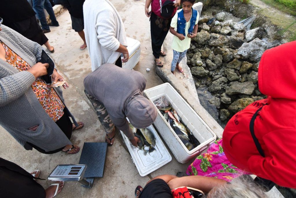 50 BEST Things to Do in Ha'apai ????️ [2023]