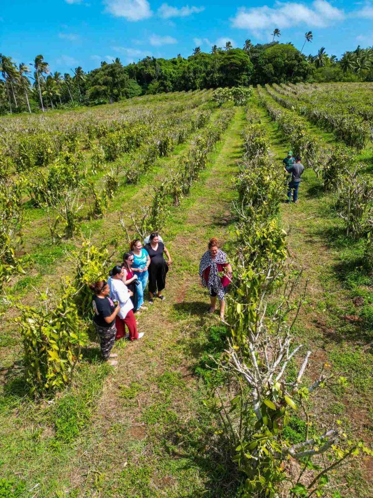 50 BEST Things to Do in Vava'u ???? [2023]