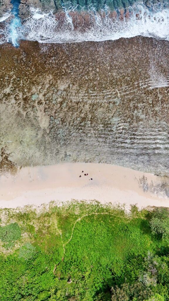 The Honeymoon & Romantic Getaway Guide to 'Eua