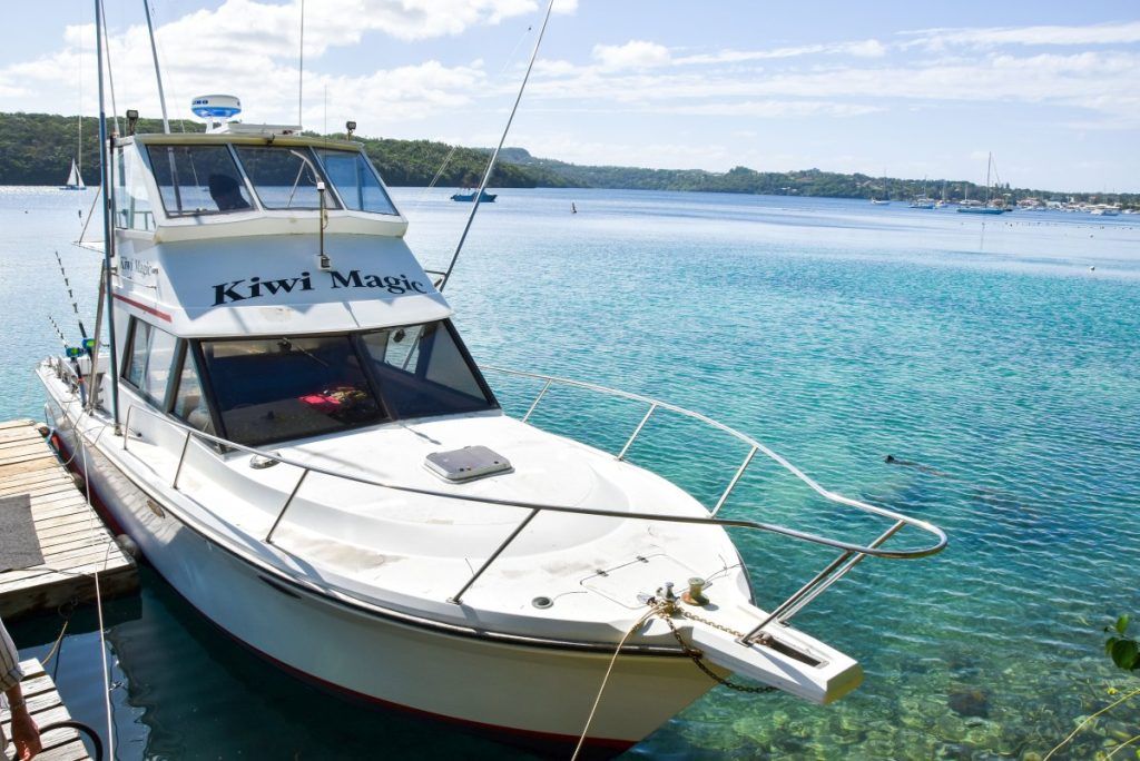 10 Best Whale Swim Tours in Vava'u [2023]