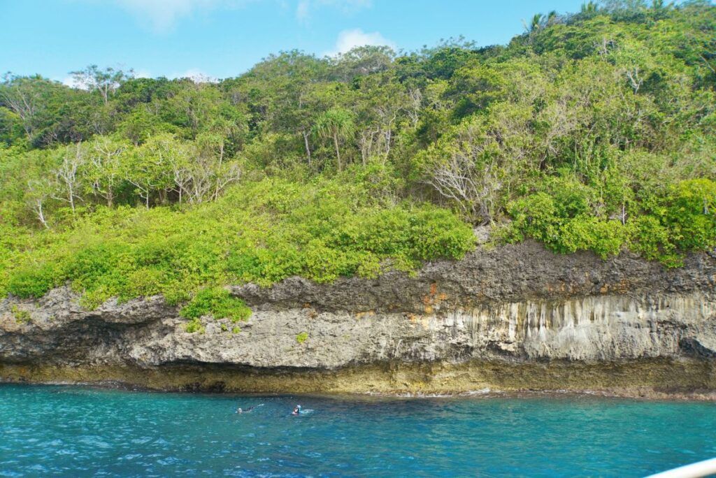 The Best Snorkelling in Vava'u: Top 10 Places to Snorkel