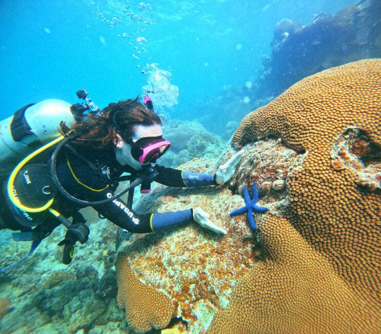 The Best Snorkel & Scuba Dive Tours in Ha'apai